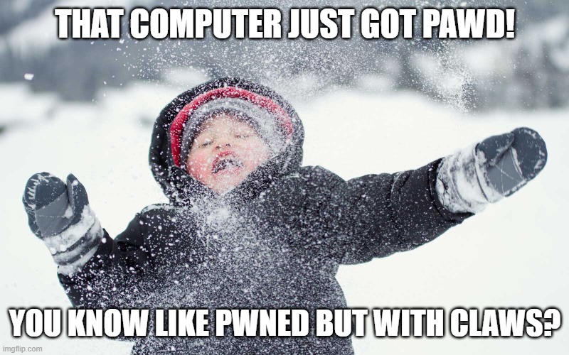Pwned | THAT COMPUTER JUST GOT PAWD! YOU KNOW LIKE PWNED BUT WITH CLAWS? | image tagged in pwned | made w/ Imgflip meme maker