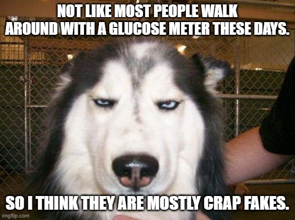seriously_husky | NOT LIKE MOST PEOPLE WALK AROUND WITH A GLUCOSE METER THESE DAYS. SO I THINK THEY ARE MOSTLY CRAP FAKES. | image tagged in seriously_husky | made w/ Imgflip meme maker