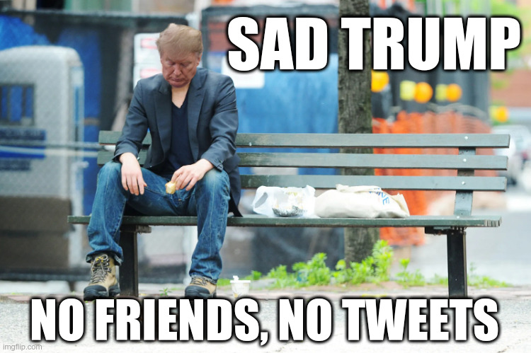 Sad Trump | SAD TRUMP; NO FRIENDS, NO TWEETS | image tagged in trump,sad trump,epic fail | made w/ Imgflip meme maker