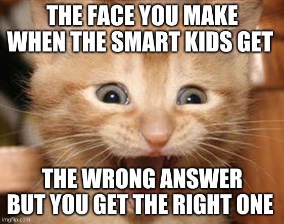 Excited Cat Meme | THE FACE YOU MAKE WHEN THE SMART KIDS GET THE WRONG ANSWER BUT YOU GET THE RIGHT ONE | image tagged in memes,excited cat | made w/ Imgflip meme maker