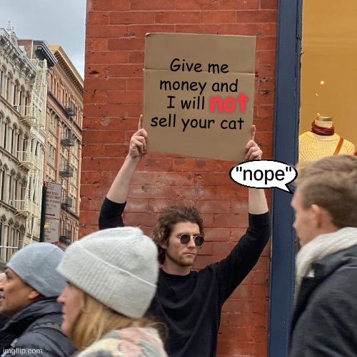 poor guy needs your cat for some reason | Give me money and I will      sell your cat; not; "nope" | image tagged in memes,guy holding cardboard sign | made w/ Imgflip meme maker