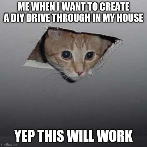 Ceiling Cat Meme | ME WHEN I WANT TO CREATE A DIY DRIVE THROUGH IN MY HOUSE; YEP THIS WILL WORK | image tagged in memes,ceiling cat | made w/ Imgflip meme maker