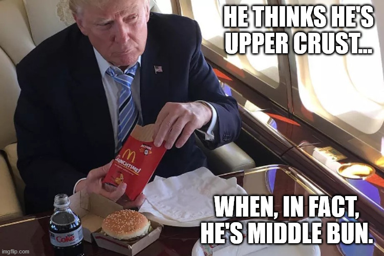 Trump & His Mickey D's | HE THINKS HE'S UPPER CRUST... WHEN, IN FACT, HE'S MIDDLE BUN. | image tagged in trump mickey d's,big mac,french fries,mcdonalds,diet coke | made w/ Imgflip meme maker