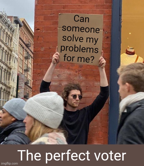 What politicians want... | Can someone solve my problems for me? The perfect voter | image tagged in memes,guy holding cardboard sign,politics | made w/ Imgflip meme maker