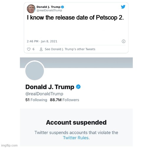 Now we'll never know | I know the release date of Petscop 2. | image tagged in trump twitter account suspended,pyrocynical | made w/ Imgflip meme maker