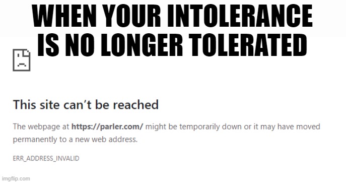 WHEN YOUR INTOLERANCE IS NO LONGER TOLERATED | WHEN YOUR INTOLERANCE IS NO LONGER TOLERATED | image tagged in parler,loser,intolerance,racist,terrorist,good riddance | made w/ Imgflip meme maker