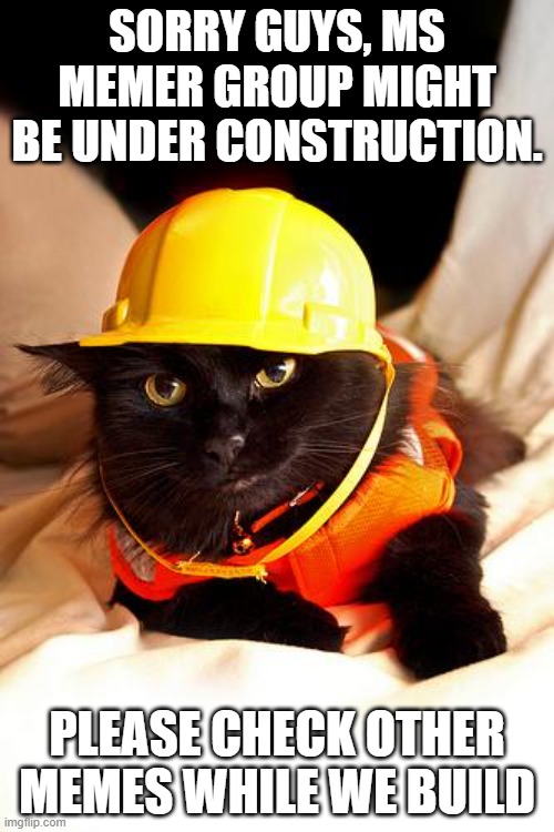 Construction Cat | SORRY GUYS, MS MEMER GROUP MIGHT BE UNDER CONSTRUCTION. PLEASE CHECK OTHER MEMES WHILE WE BUILD | image tagged in construction cat | made w/ Imgflip meme maker
