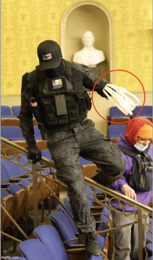 The things they carried: MAGA riot edition | image tagged in jan 6 2021 zip tie guy | made w/ Imgflip meme maker
