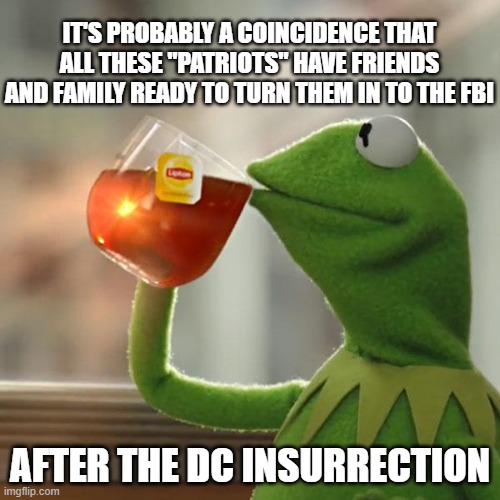 But That's None Of My Business | IT'S PROBABLY A COINCIDENCE THAT ALL THESE "PATRIOTS" HAVE FRIENDS AND FAMILY READY TO TURN THEM IN TO THE FBI; AFTER THE DC INSURRECTION | image tagged in memes,but that's none of my business,kermit the frog | made w/ Imgflip meme maker