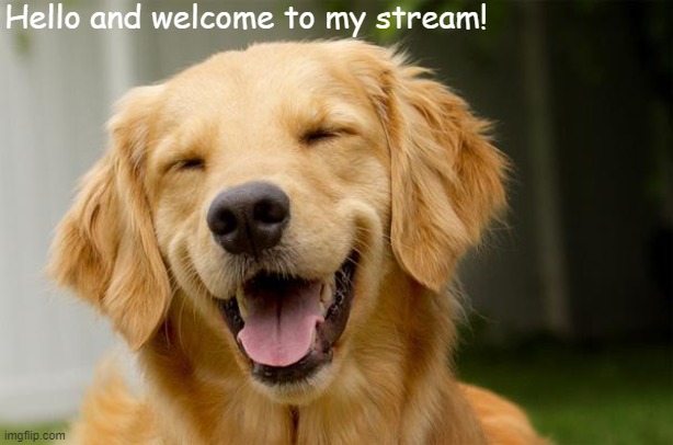 Welcome! | Hello and welcome to my stream! | image tagged in happy dog,welcome,dogs,dog | made w/ Imgflip meme maker