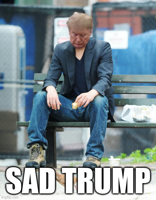 Sad Trump | SAD TRUMP | image tagged in sad trump,trump,epic fail | made w/ Imgflip meme maker