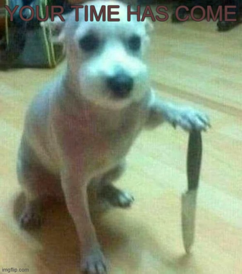 When your owner stops petting you for 0.000000000002 seconds |  YOUR TIME HAS COME | image tagged in dog with knife,dog,dogs,pets,relatable for dogs | made w/ Imgflip meme maker