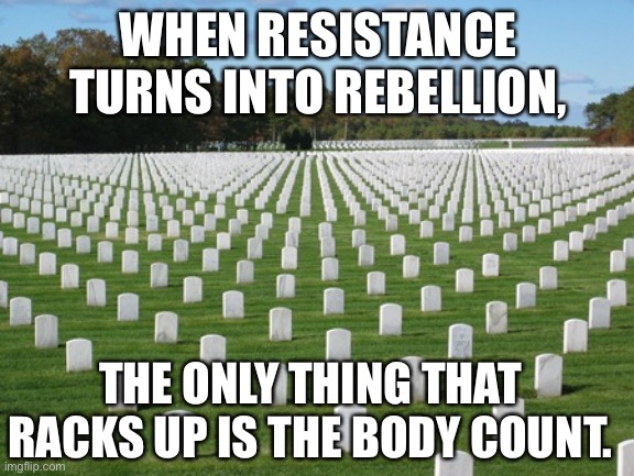 Fallen Soldiers | WHEN RESISTANCE TURNS INTO REBELLION, THE ONLY THING THAT RACKS UP IS THE BODY COUNT. | image tagged in fallen soldiers | made w/ Imgflip meme maker