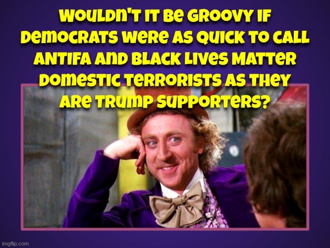The hypocrisy on display by the real violent fascists occupying the Left is enough to make you puke | image tagged in domestic terrorists,antifa,black lives matter,politics,political | made w/ Imgflip meme maker