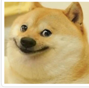 High Quality Smiling doge Blank Meme Template