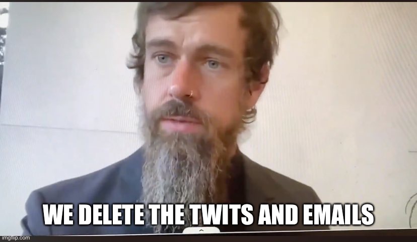 Jack Dorsey beard | WE DELETE THE TWITS AND EMAILS | image tagged in jack dorsey beard | made w/ Imgflip meme maker