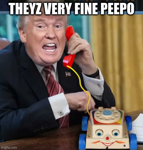 I'm the president | THEYZ VERY FINE PEEPO | image tagged in i'm the president | made w/ Imgflip meme maker