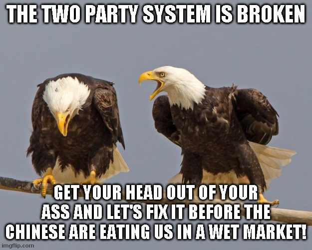 Fix It | THE TWO PARTY SYSTEM IS BROKEN; GET YOUR HEAD OUT OF YOUR ASS AND LET'S FIX IT BEFORE THE CHINESE ARE EATING US IN A WET MARKET! | image tagged in angry eagles,2 parties | made w/ Imgflip meme maker