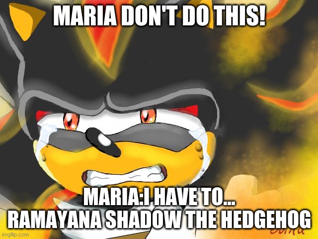 Shadow the Hedgehog Crying | MARIA DON'T DO THIS! MARIA:I HAVE TO... RAMAYANA SHADOW THE HEDGEHOG | image tagged in shadow the hedgehog crying | made w/ Imgflip meme maker