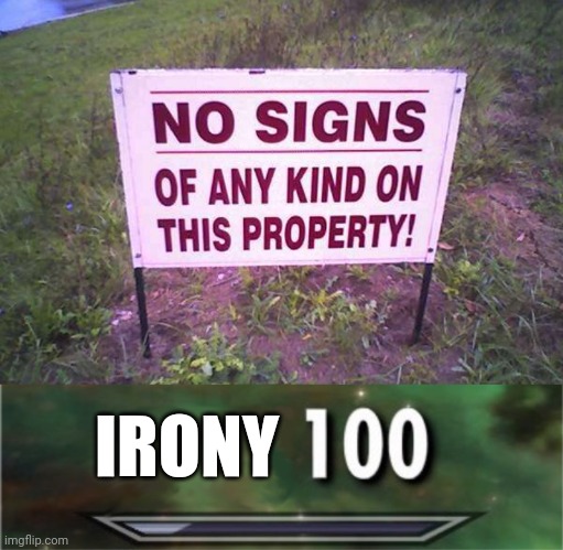IRONY | image tagged in level 100 | made w/ Imgflip meme maker