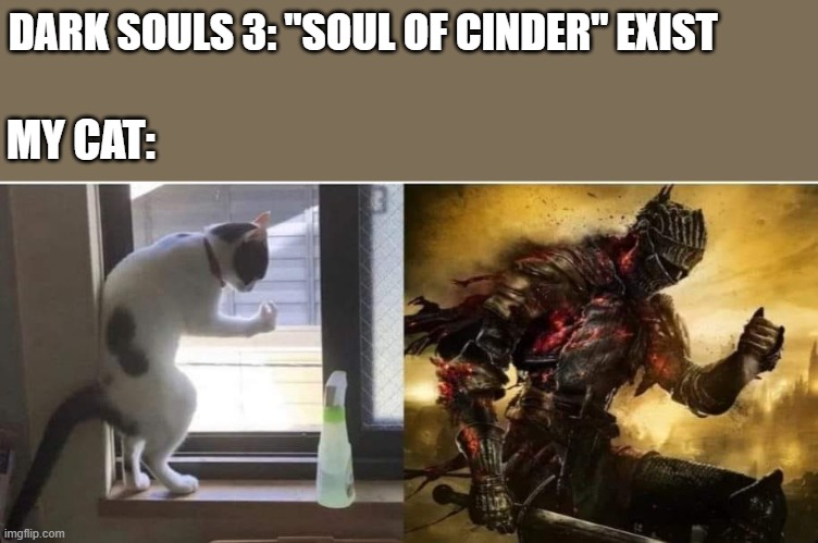 Souls of Cinder | DARK SOULS 3: "SOUL OF CINDER" EXIST; MY CAT: | image tagged in souls of cinder | made w/ Imgflip meme maker