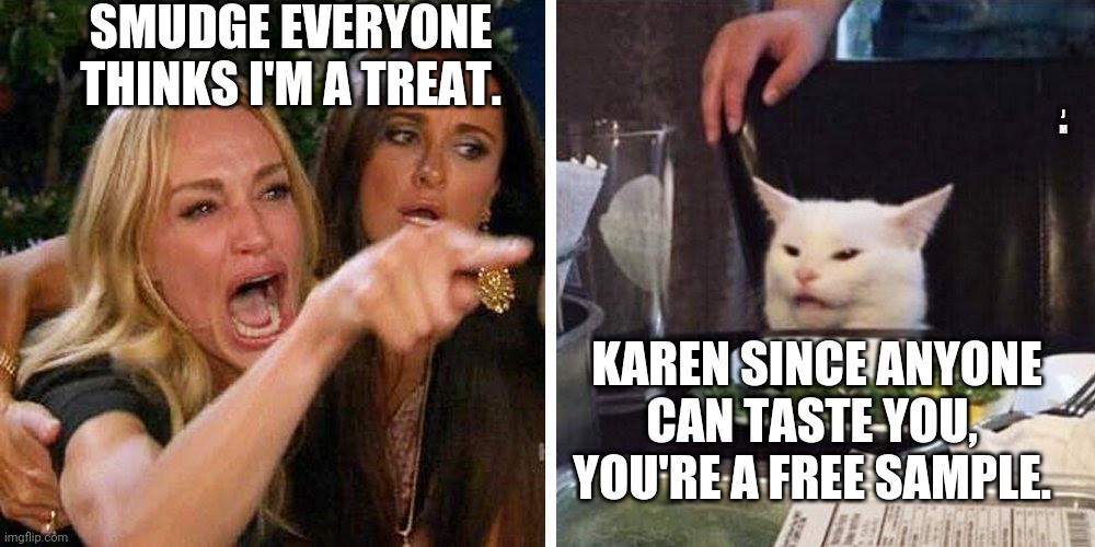 Smudge the cat | SMUDGE EVERYONE THINKS I'M A TREAT. J M; KAREN SINCE ANYONE CAN TASTE YOU,  YOU'RE A FREE SAMPLE. | image tagged in smudge the cat | made w/ Imgflip meme maker