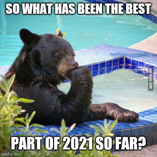 What good has happened so far? | SO WHAT HAS BEEN THE BEST; PART OF 2021 SO FAR? | image tagged in philosophy bear,memes,question,2021,good | made w/ Imgflip meme maker