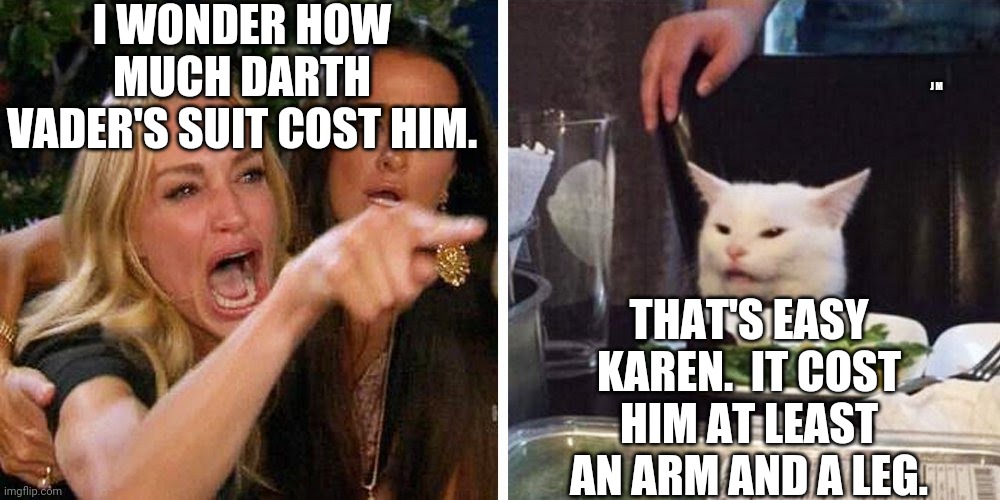 Smudge the cat | I WONDER HOW MUCH DARTH VADER'S SUIT COST HIM. J M; THAT'S EASY KAREN.  IT COST HIM AT LEAST AN ARM AND A LEG. | image tagged in smudge the cat | made w/ Imgflip meme maker