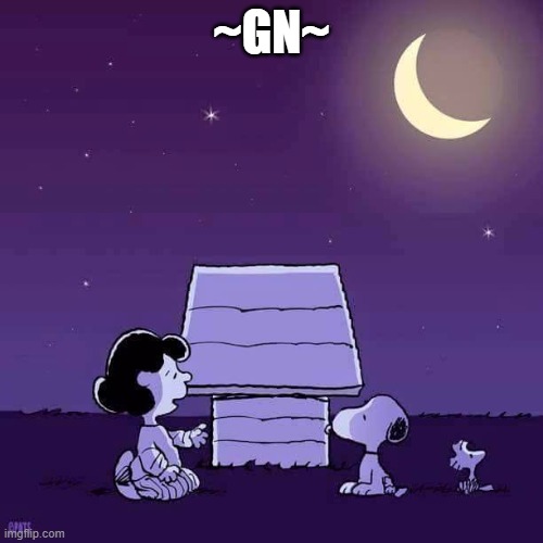 Good night  | ~GN~ | image tagged in good night | made w/ Imgflip meme maker