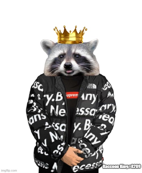 Raccoon Drip | Raccoon King#8289 | image tagged in memes,swag | made w/ Imgflip meme maker