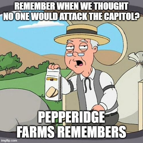 Pepperidge Farm Remembers Meme | REMEMBER WHEN WE THOUGHT NO ONE WOULD ATTACK THE CAPITOL? PEPPERIDGE FARMS REMEMBERS | image tagged in memes,pepperidge farm remembers | made w/ Imgflip meme maker