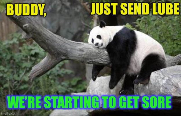 lazy panda | BUDDY, WE’RE STARTING TO GET SORE JUST SEND LUBE | image tagged in lazy panda | made w/ Imgflip meme maker