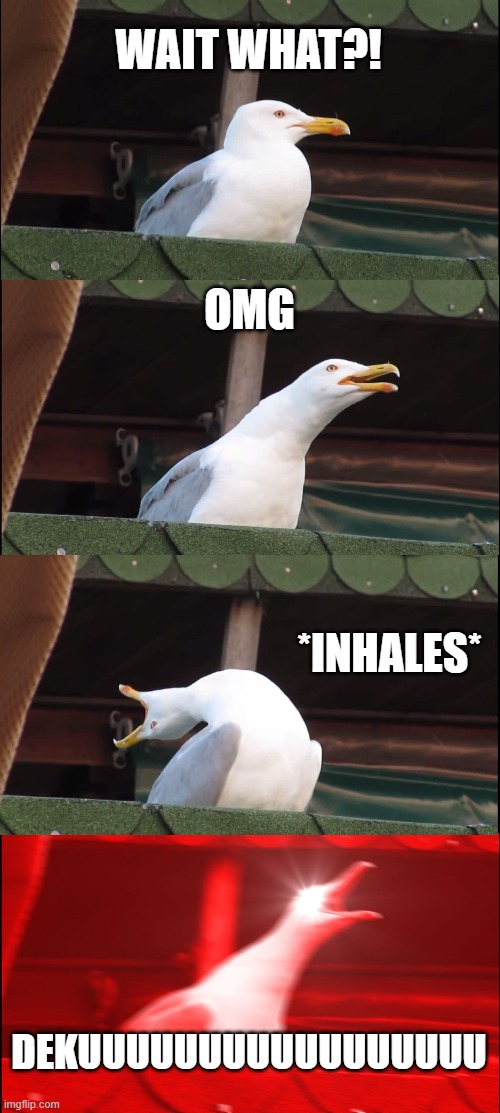 Inhaling Seagull | WAIT WHAT?! OMG; *INHALES*; DEKUUUUUUUUUUUUUUUUU | image tagged in memes,inhaling seagull | made w/ Imgflip meme maker