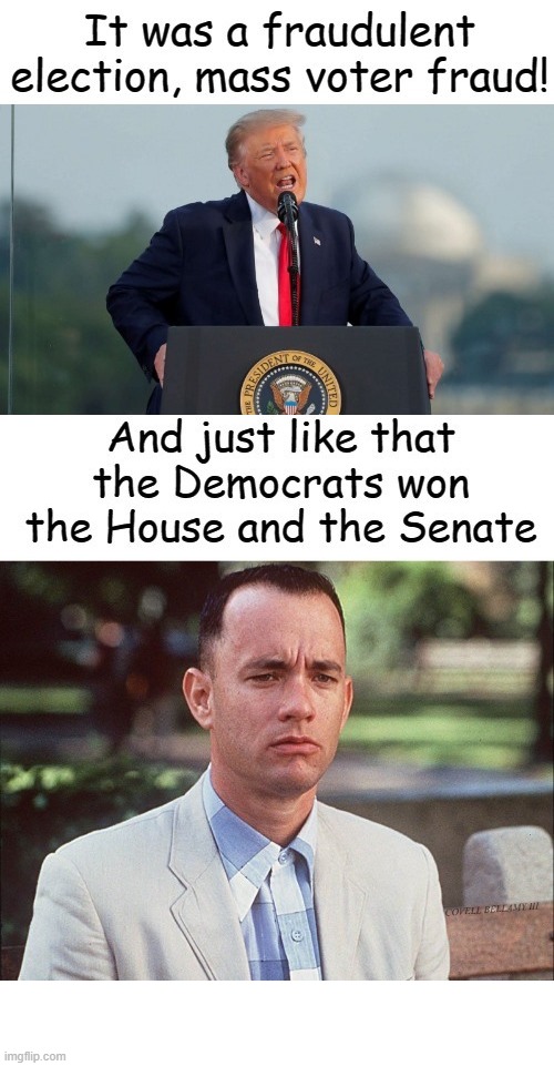 COVELL BELLAMY III | image tagged in trump election fraud forrest gump just like that democrats win | made w/ Imgflip meme maker
