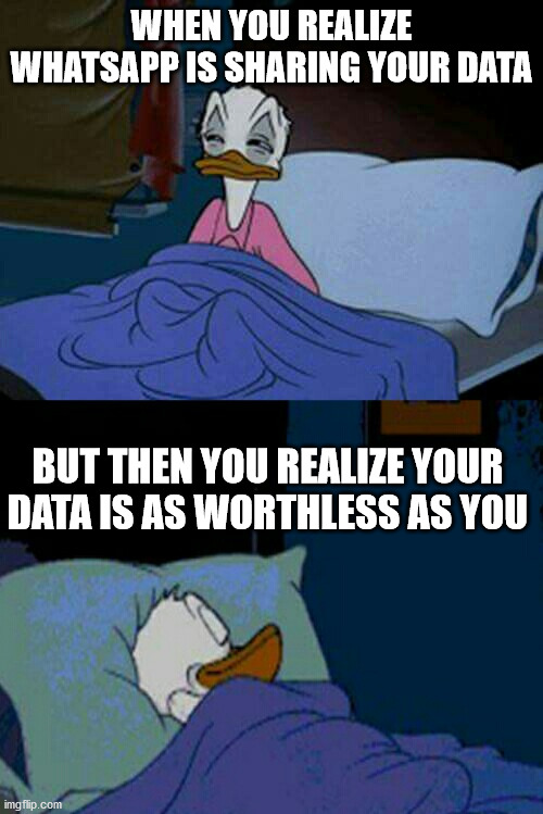 donald duck whatsapp rpivacy | WHEN YOU REALIZE WHATSAPP IS SHARING YOUR DATA; BUT THEN YOU REALIZE YOUR DATA IS AS WORTHLESS AS YOU | image tagged in sleepy donald duck in bed | made w/ Imgflip meme maker