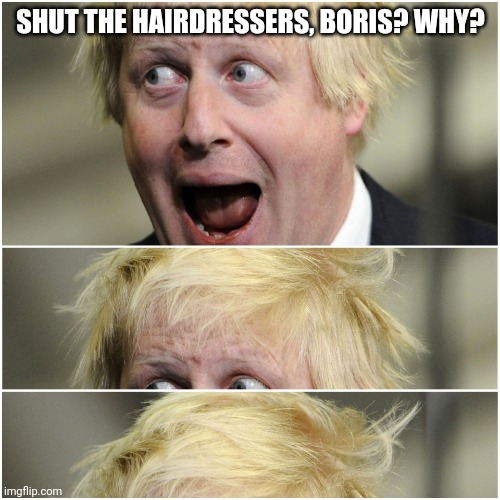 Boris Johnson hair | SHUT THE HAIRDRESSERS, BORIS? WHY? | image tagged in boris johnson hair | made w/ Imgflip meme maker