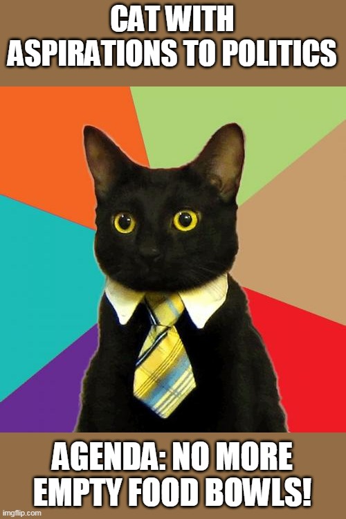 Business cat | CAT WITH ASPIRATIONS TO POLITICS; AGENDA: NO MORE EMPTY FOOD BOWLS! | image tagged in memes,business cat,end cat hunger | made w/ Imgflip meme maker