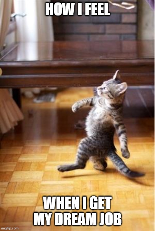 Proud cat | HOW I FEEL; WHEN I GET MY DREAM JOB | image tagged in walking cat,memes,success | made w/ Imgflip meme maker