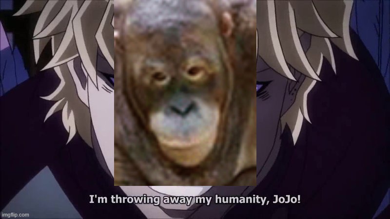 I Reject My Humanity, JoJo! | image tagged in i reject my humanity jojo | made w/ Imgflip meme maker