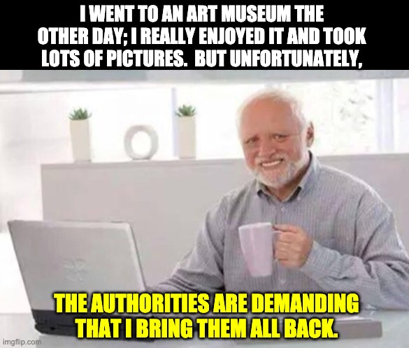 Pictures | I WENT TO AN ART MUSEUM THE OTHER DAY; I REALLY ENJOYED IT AND TOOK LOTS OF PICTURES.  BUT UNFORTUNATELY, THE AUTHORITIES ARE DEMANDING THAT I BRING THEM ALL BACK. | image tagged in harold | made w/ Imgflip meme maker