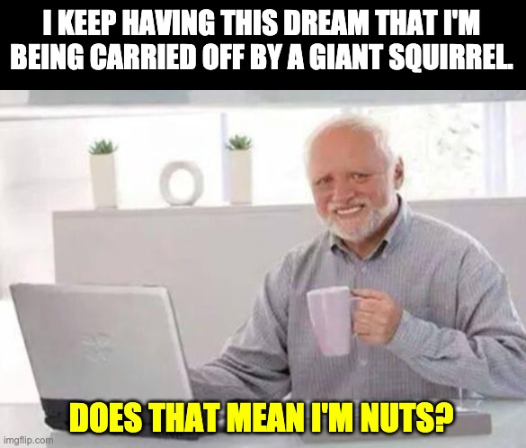 Nuttier than squirrel poop. | I KEEP HAVING THIS DREAM THAT I'M BEING CARRIED OFF BY A GIANT SQUIRREL. DOES THAT MEAN I'M NUTS? | image tagged in harold | made w/ Imgflip meme maker