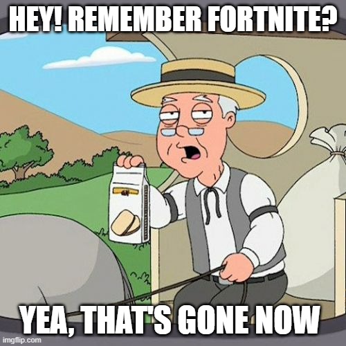 you remember? | HEY! REMEMBER FORTNITE? YEA, THAT'S GONE NOW | image tagged in memes,pepperidge farm remembers | made w/ Imgflip meme maker