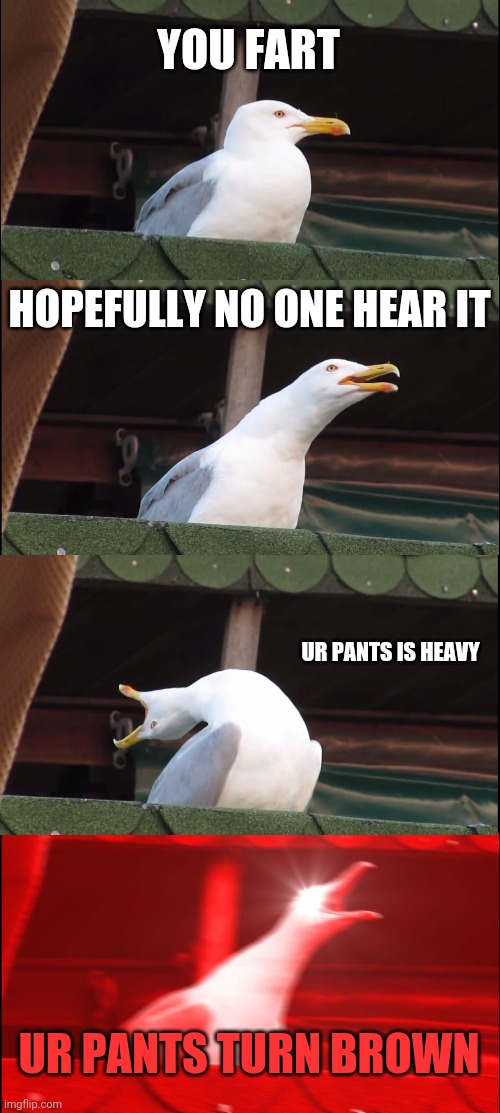 Don't fart | YOU FART; HOPEFULLY NO ONE HEAR IT; UR PANTS IS HEAVY; UR PANTS TURN BROWN | image tagged in memes,inhaling seagull | made w/ Imgflip meme maker