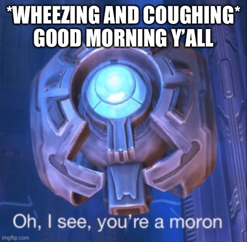 Konicha | *WHEEZING AND COUGHING*
GOOD MORNING Y’ALL | image tagged in i see you re a moron | made w/ Imgflip meme maker