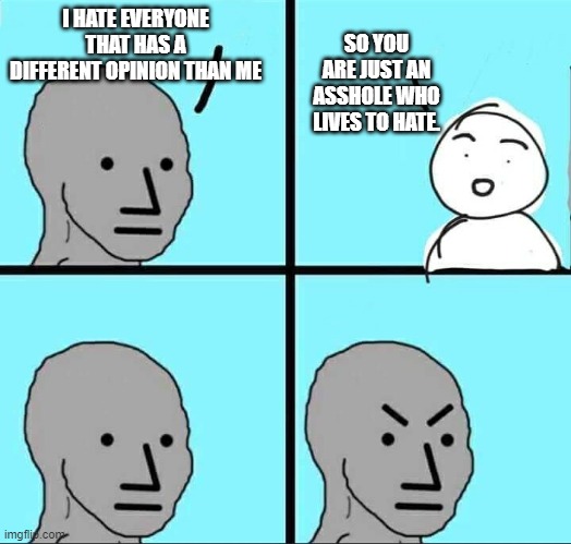 NPC Meme | SO YOU ARE JUST AN ASSHOLE WHO LIVES TO HATE. I HATE EVERYONE THAT HAS A DIFFERENT OPINION THAN ME | image tagged in npc meme | made w/ Imgflip meme maker