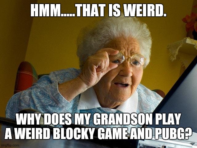 Grandma Finds The Internet | HMM.....THAT IS WEIRD. WHY DOES MY GRANDSON PLAY A WEIRD BLOCKY GAME AND PUBG? | image tagged in memes,the internet,salty grandma | made w/ Imgflip meme maker