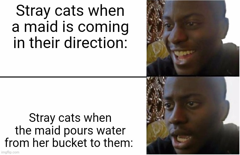 Disappointed Black Guy | Stray cats when a maid is coming in their direction:; Stray cats when the maid pours water from her bucket to them: | image tagged in memes,grumpy cats,neighborhood | made w/ Imgflip meme maker