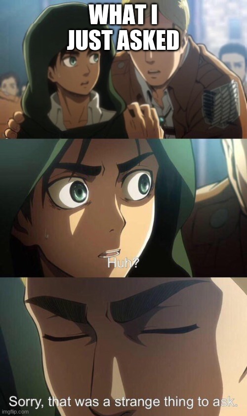 Strange question attack on titan | WHAT I JUST ASKED | image tagged in strange question attack on titan | made w/ Imgflip meme maker