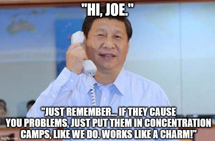 The New Normal | "HI, JOE."; "JUST REMEMBER... IF THEY CAUSE YOU PROBLEMS, JUST PUT THEM IN CONCENTRATION CAMPS, LIKE WE DO. WORKS LIKE A CHARM!" | image tagged in china president | made w/ Imgflip meme maker