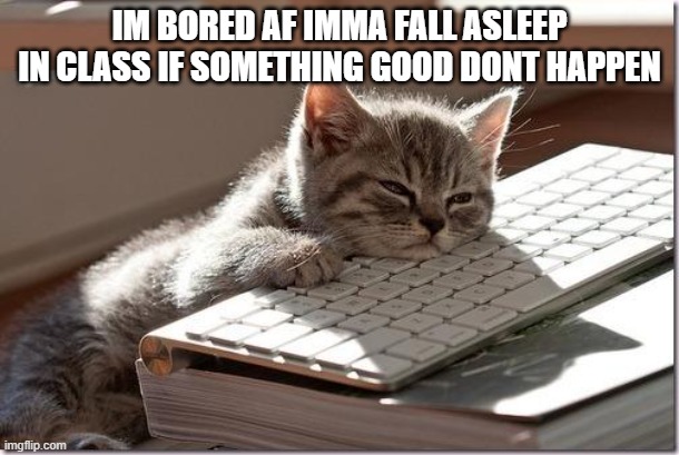 Bored Keyboard Cat | IM BORED AF IMMA FALL ASLEEP IN CLASS IF SOMETHING GOOD DONT HAPPEN | image tagged in bored keyboard cat | made w/ Imgflip meme maker